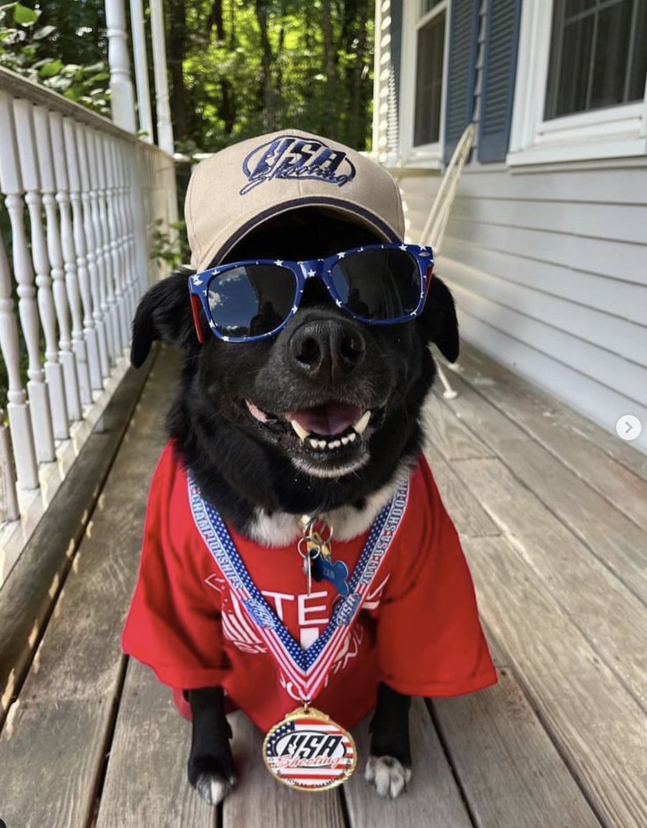 USAShooting's tweet photo. @blckriflecoffee 🐶🇺🇸 https://t.co/NNtDoPiGj4