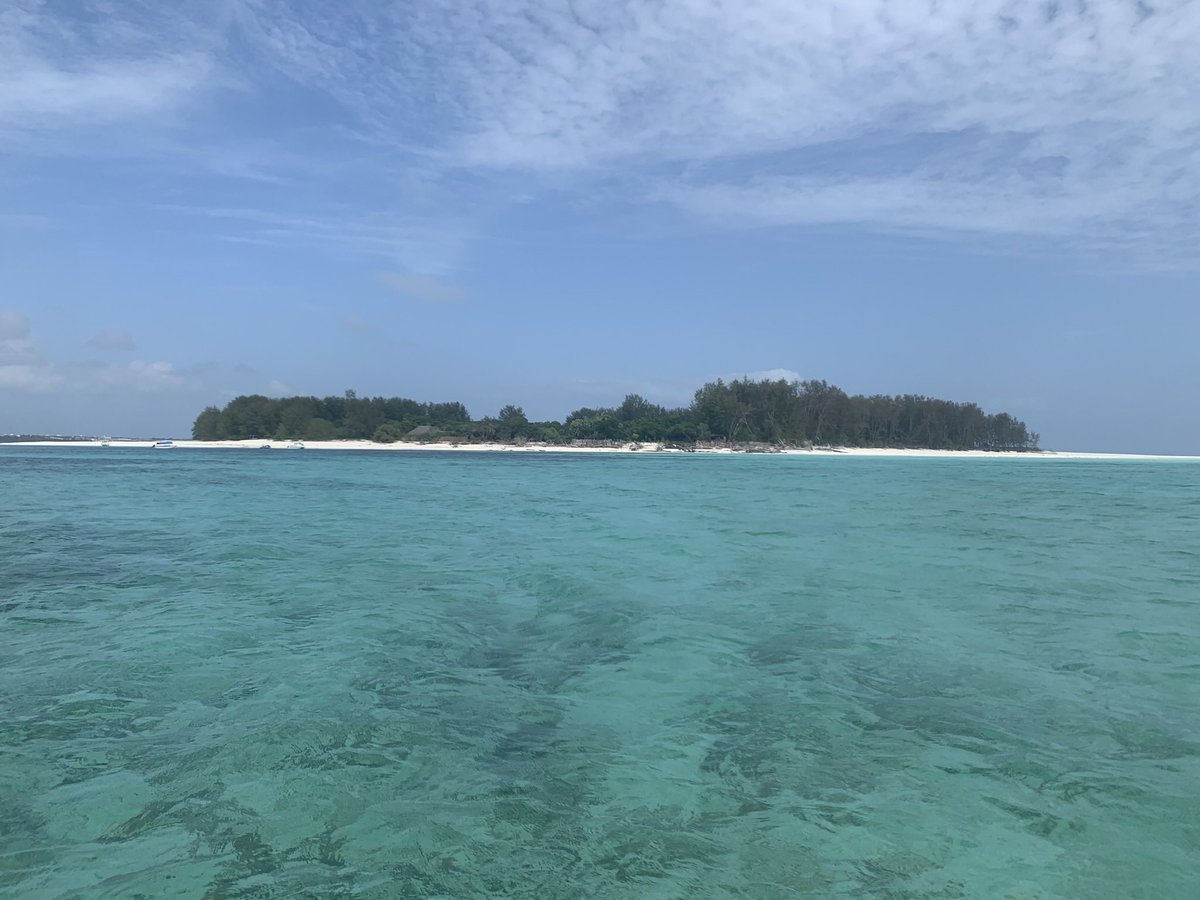 ValCloi's tweet photo. La plage de #Matemwe, l'รฎle de #Mnenba #massaรฏ ๐๐๐ https://t.co/OglMiwLO5Z