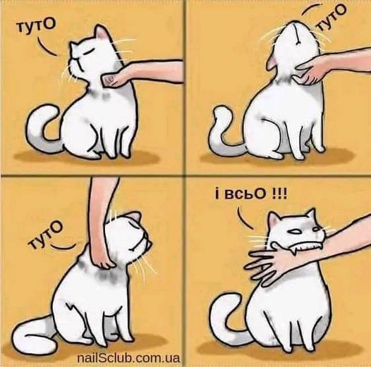 Маня (@papyroskina) on Twitter photo 