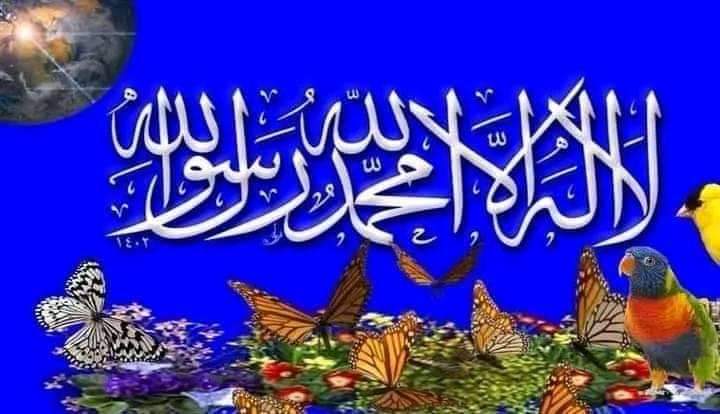 ،💚❤️ نواب زادی ❤️💚 tweet media