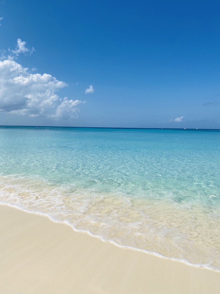 January weather report - 83 degrees and a soothing ocean breeze ☀🌊⠀
⠀
How's the weather where you are? We'd love to hear in the comments 👇
⠀
#januaryweather #islandlife #caribbeanvacations #caymanislands #beachwell #feelwell #rejuvenatewell