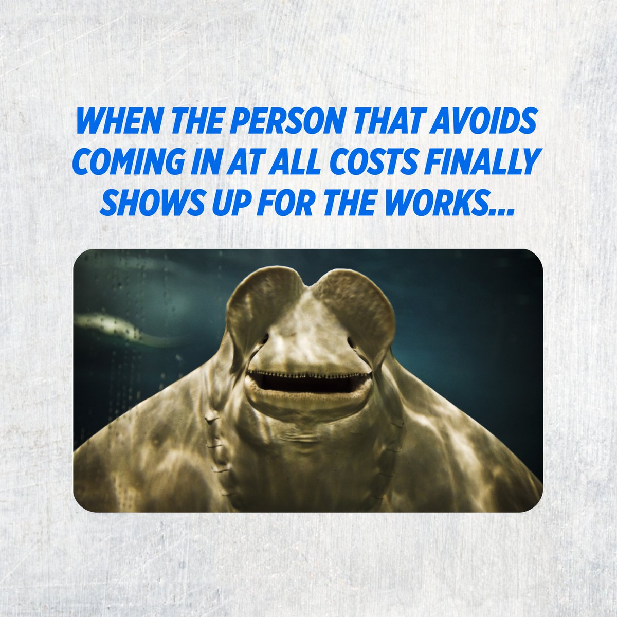 We promise it’s as easy as it sounds! Tag someone that needs their vehicle serviced for spring ASAP. 👇

Find your nearest Quick Lane Tire &amp; Auto Centre at
quicklane.ca/stores