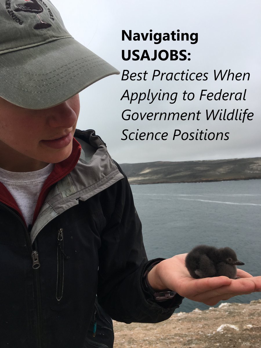 PacificSeabirdGroup tweet media