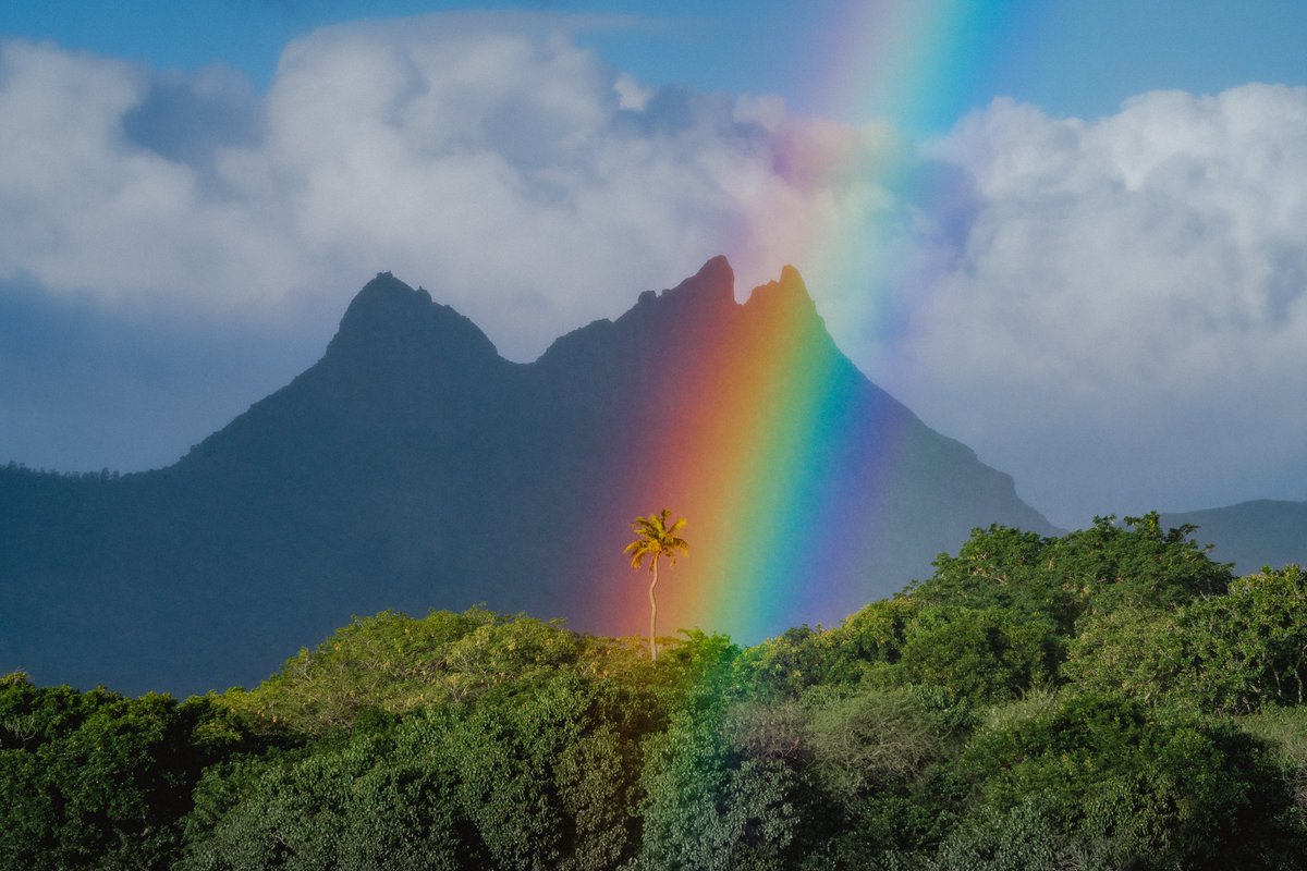 braybraywoowoo's tweet photo. gm from mauritius https://t.co/rVP7PIk0E0
