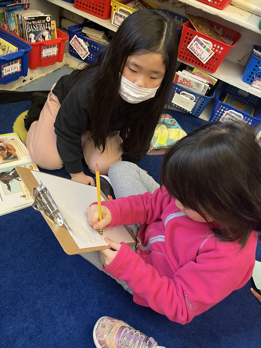 Teri Peragallo tweet media