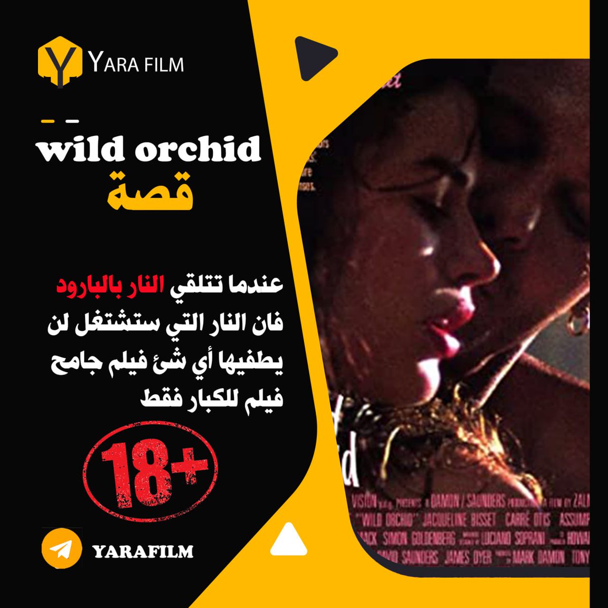 YARAFIL1's tweet photo. #فيلم_السهرة 
#wildorchid 
#wild_orchid
#film_18
#افلاَِم_ُسِِكُــسْ https://t.co/WrUA2pe62p