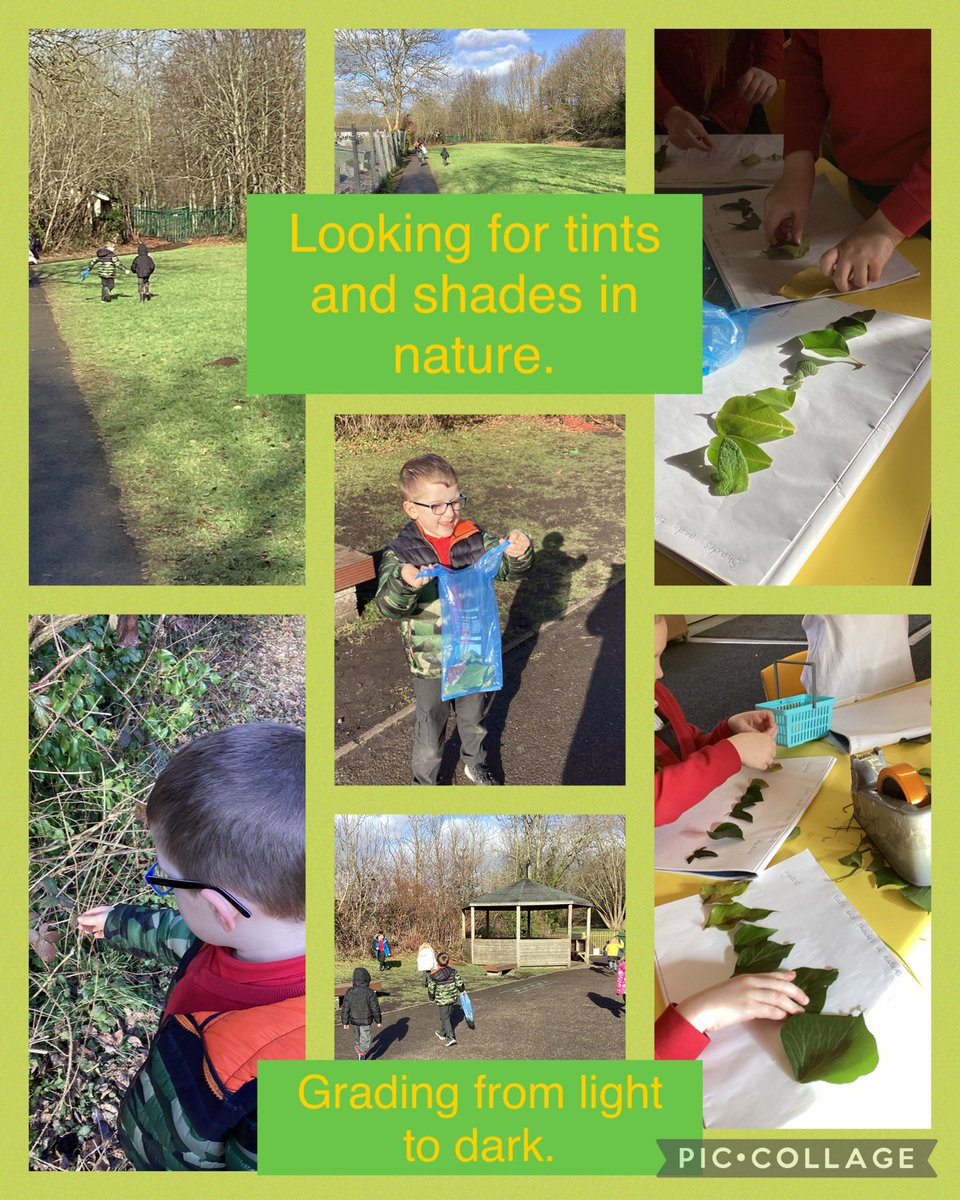 Pengam Year 2 tweet media