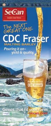 SeCanLauren's tweet photo. If trying to find CDC Fraser #malt #barley in NW #Sask or the BRAND NEW AAC Douglas #oat variety, give @sunsetroadseeds a call #plant23 #TheNextGreatOne #NewTopDog #CDCFraser #AACDouglas #AskForDoug https://t.co/RpKynWmhmJ