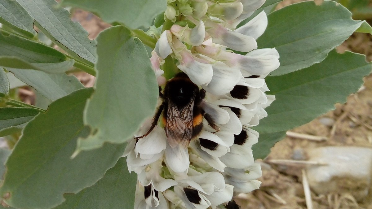 Dr. Katherine Burns tweet media