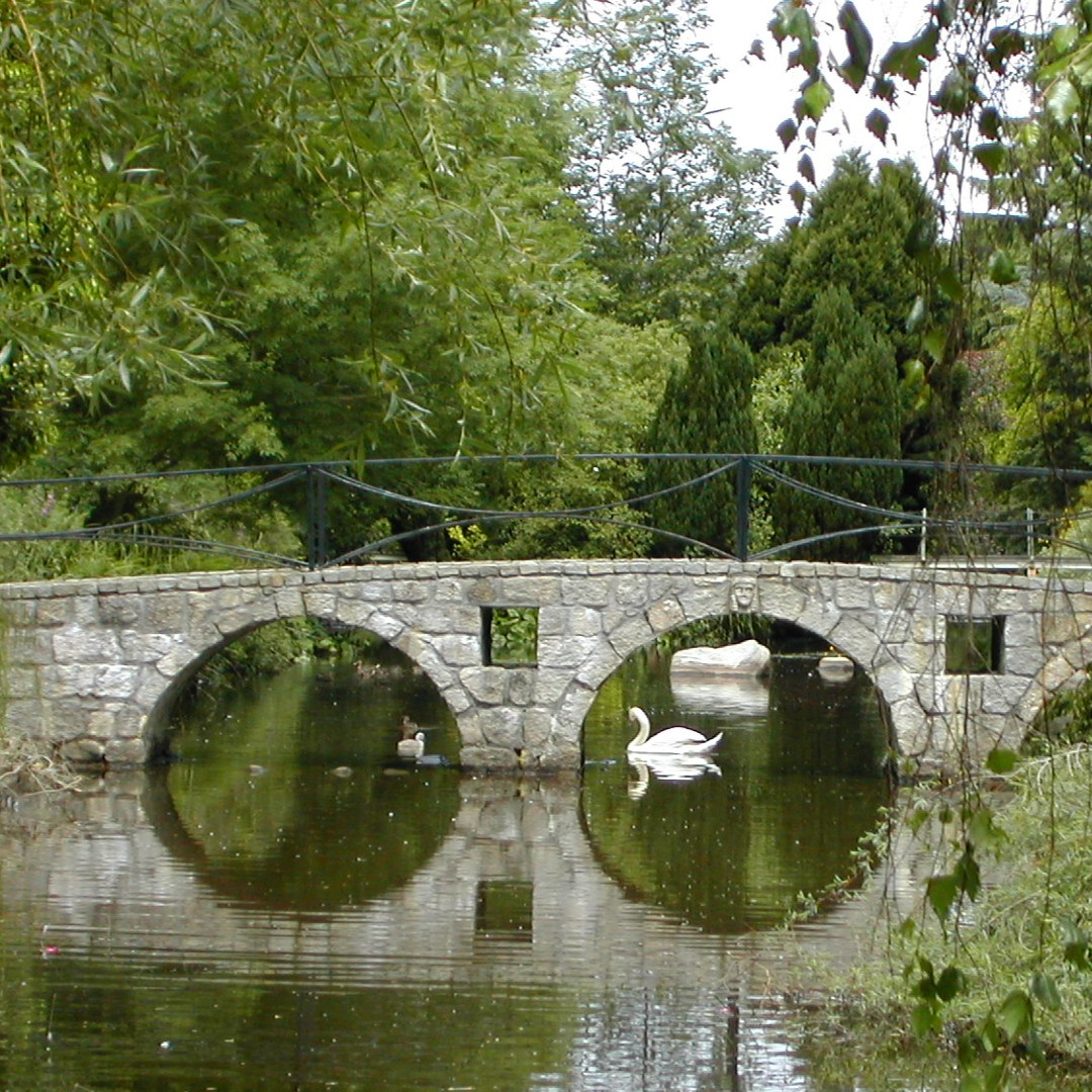 carlowtourism's tweet photo. The very popular Snowdrop Month at Altamont Gardens runs from February 1st to 28th and is a great opportunity to view this unique collection.  

Click here for more details: 
https://t.co/9ignjP1nlS

#wanderoffthetrack #snowdropmonth https://t.co/iIi7PUR4B7