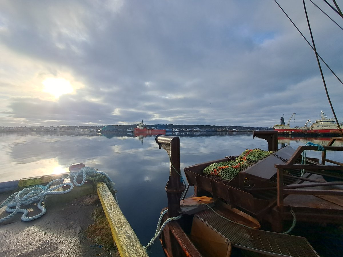 Another look at Bay Roberts Harbour this morning. #nlweather #nlwx