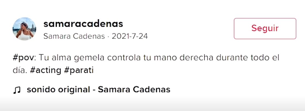 ₍ ᐢ..ᐢ ₎ tweet media