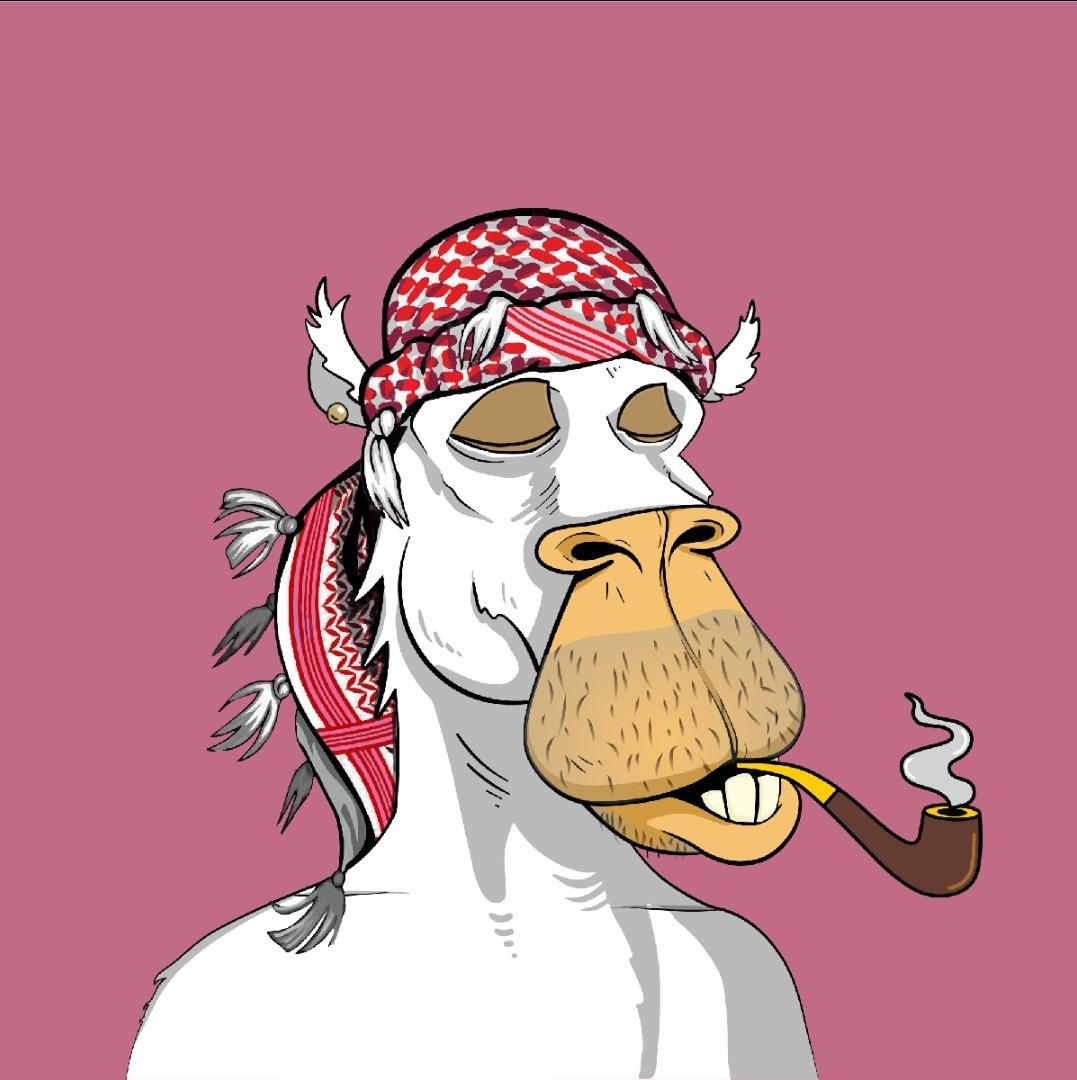 Bored Camel Caravan Club tweet media