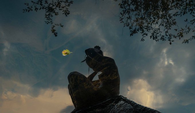 water reflections https://t.co/qwjx7XJfCk