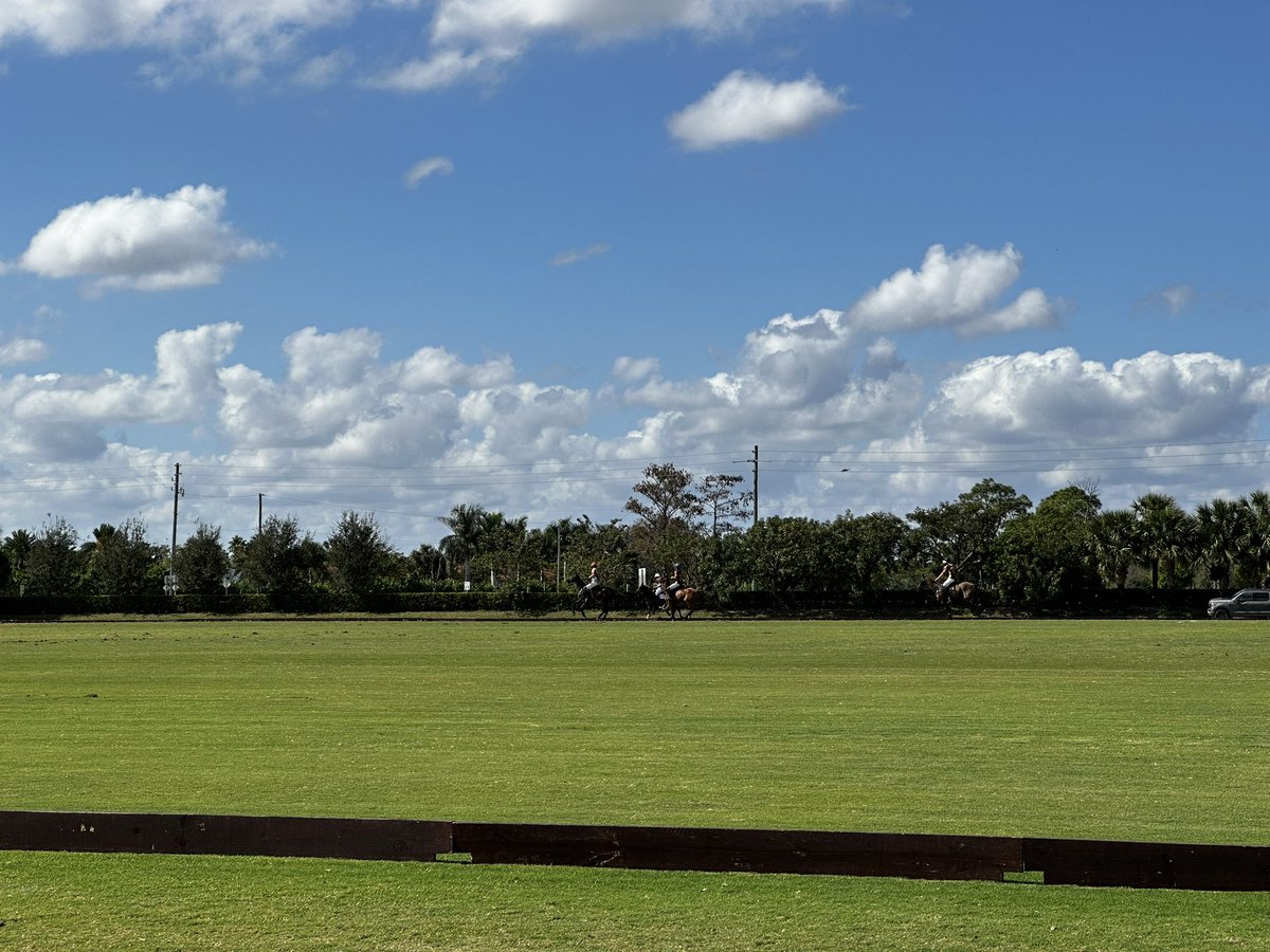 Melissa Ganzi tweet media