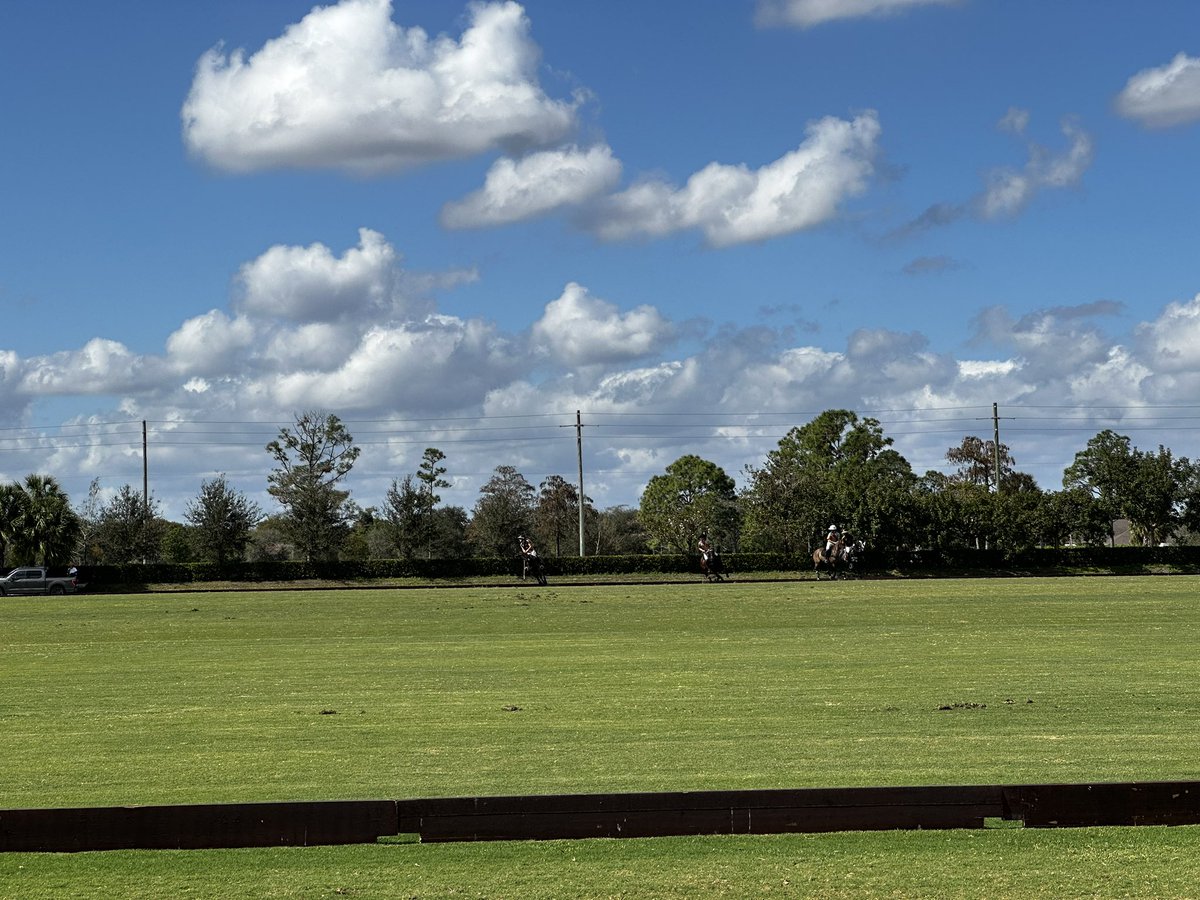 Melissa Ganzi tweet media