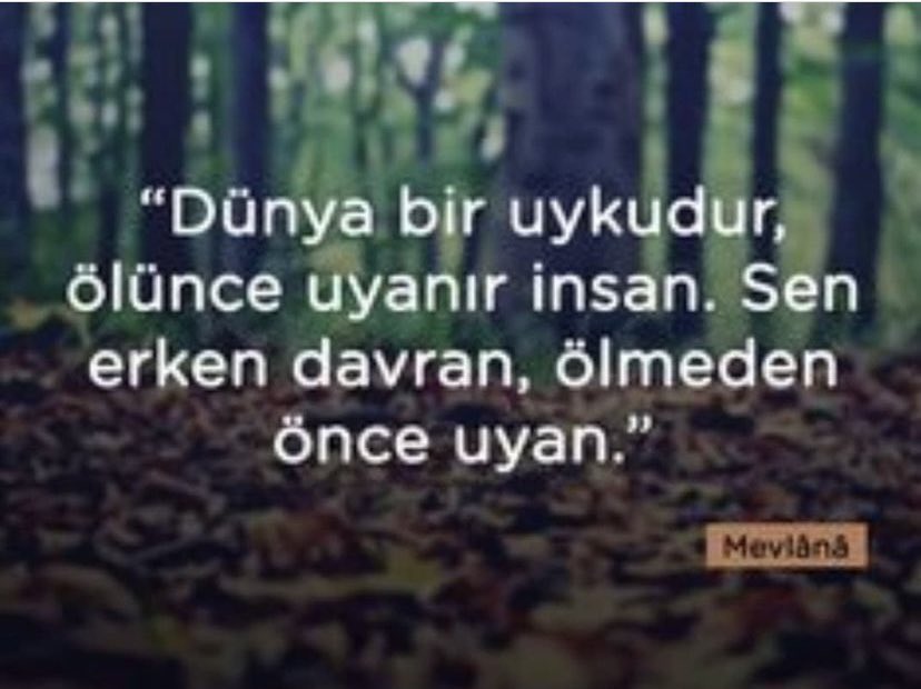 Yoldas1923's tweet image. "Uyuyan #milletler ya #ölür ya da #köle olarak uyanır."
- Gazi Mustafa Kemal #Atatürk