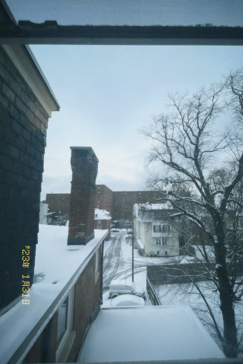 profsasser's tweet image. ONLY beautiful from afar