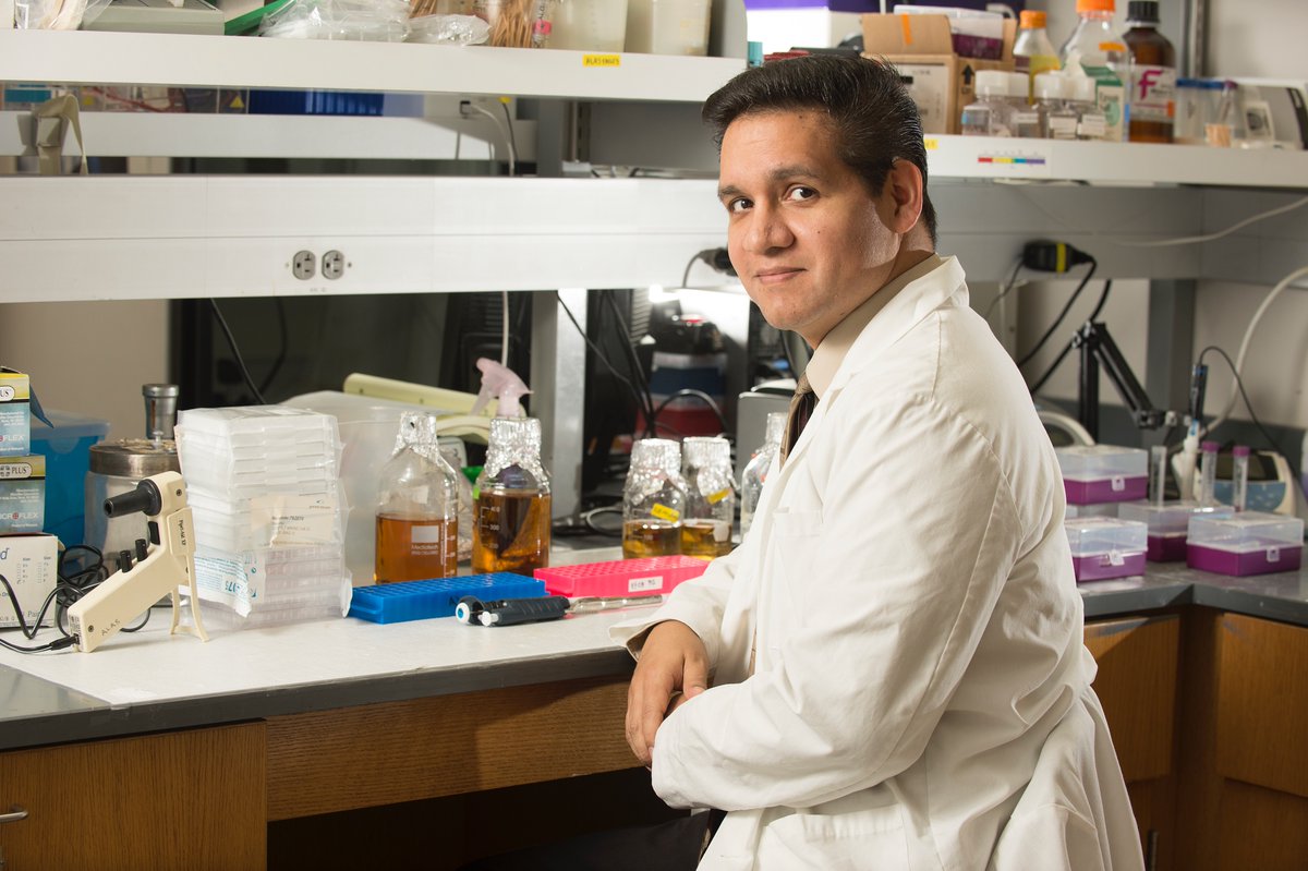 cpp_science's tweet image. Congratulations to Professor Steve Alas for receiving the Wang Family Excellence Award for outstanding service. calstate.edu/.../awardees/P……
The award recognizes four outstanding faculty members and one outstanding staff member whose activities advance the CSU mission.
#cpp_science