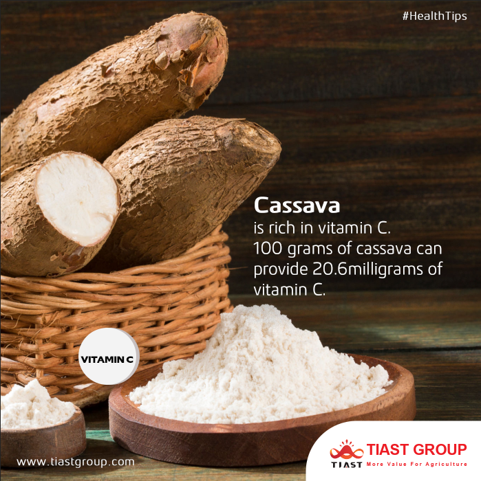 Because it contains vitamins that benefit your system, eating cassava is wonderful for your health.

#cassava #cassavacake #cassavachips #cassavafarm #cassavafarming #healthtips