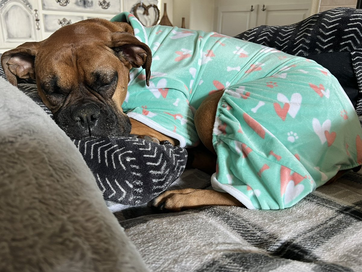 KarynMarinella's tweet image. Saylor loves to wear her jammies all the time 💕 🤍 cuteness overload #SaylorGrace #boxersinpajamas #boxersoftwitter