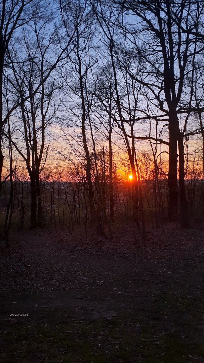 MaryaskyfullofM's tweet photo. Don’t stop showing someone you care for them,don’t stop showing  efforts..Just because you have them,doesn’t mean they will stay forever..You can’t get too comfortable and stop doing everything you did to get them because you have them now..
Don’t take them for granted… https://t.co/3TwgjXRAV9
