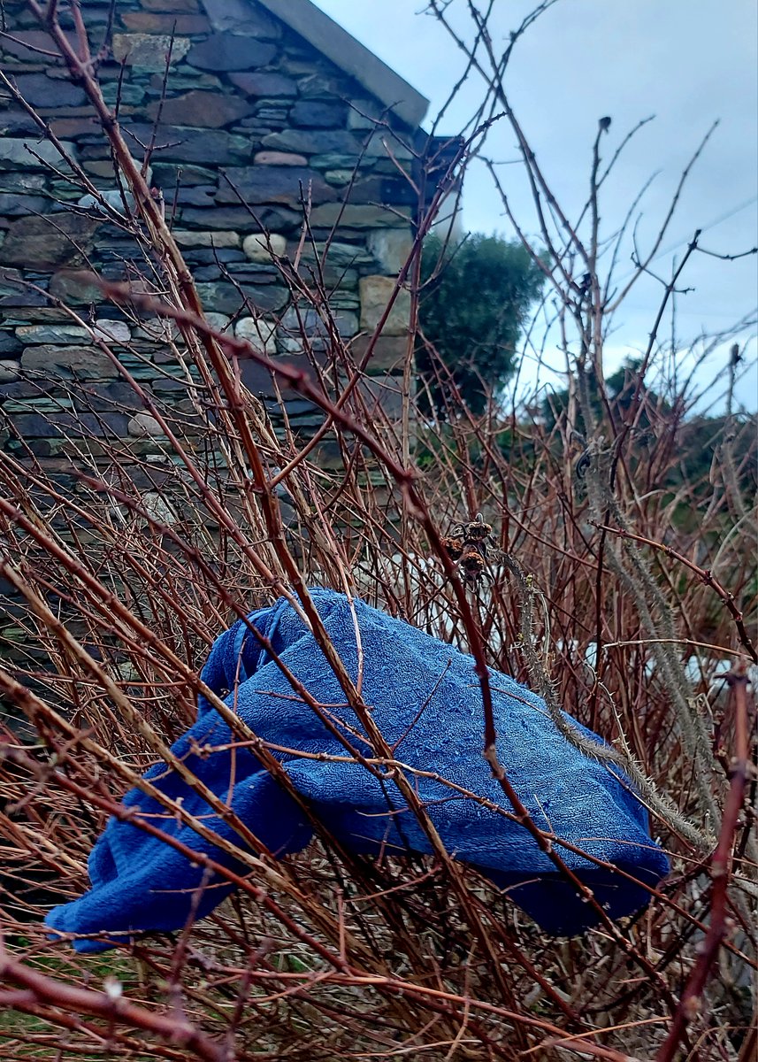 skibbheritage's tweet photo. The 'brat Bríd' is out!
This old custom involves putting a piece of cloth outside overnight on St Bridget's Day Eve to be blessed by the saint. 
It's then cut up and used throughout the year to alleviate ailments. 
#stbridgit #skibbereen #westcork #irishfolklore #bratogbride https://t.co/9SU9N7gYXO