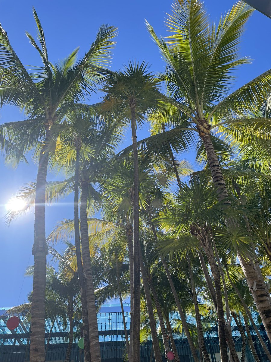 ipittinger's tweet photo. 6 things I’m thinking about as I choose a new city, written from my first Airbnb spot: Miami https://t.co/6xm5ReyRAO