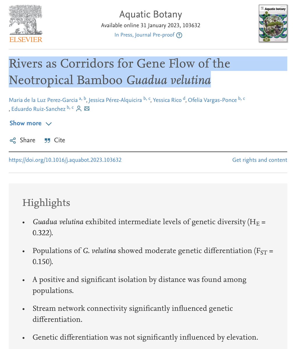 ruizlalo's tweet image. Luz&apos;s thesis first paper is online in Aquatic Botany.
Rivers as Corridors for Gene Flow of the Neotropical Bamboo Guadua velutina
sciencedirect.com/science/articl… 
#Guadua #GeneFlow #Rivers #HuastecaPotosina #SanLuisPotosi #Mexico