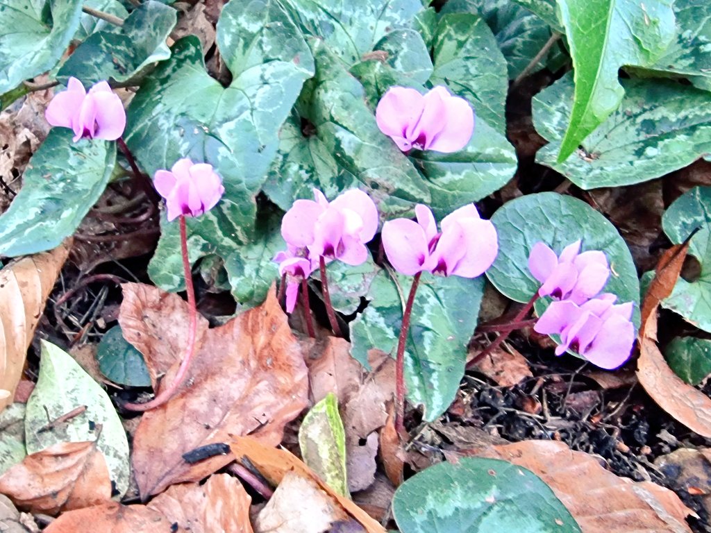 Deborah Alsina tweet media