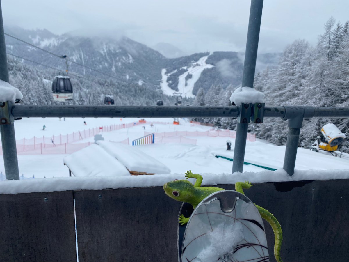 mrgreenlizard's tweet photo. Vajadzētu to sniegu dabūt līdz Rīgai! Slēpotu mājās ar lielāko prieku. 🇮🇹🦎😁 #lavilla https://t.co/5cDTVUrnkJ