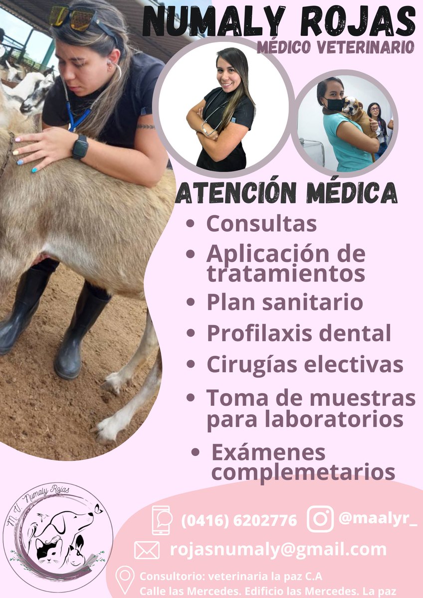 100% recomendado. La mejor calidad y atención.