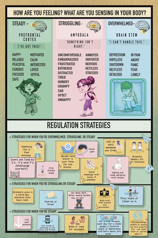 We hope you will enjoy! Available on the website!
revelationsineducation.com