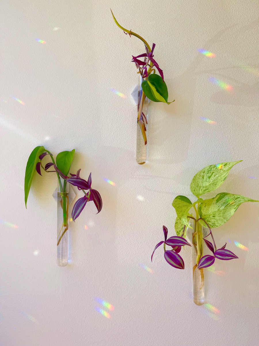 gm. I hope you have a beautiful moment today.