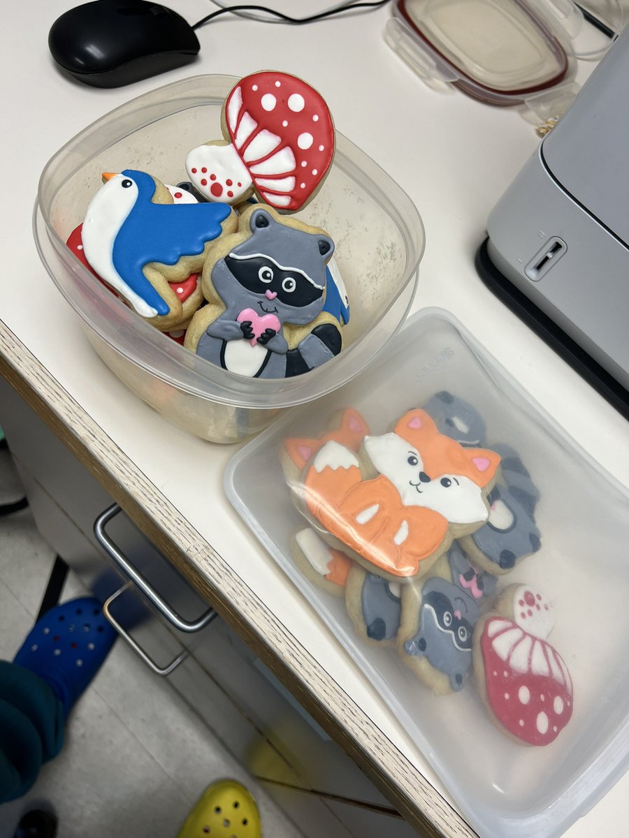 Jefferson Cardiology Fellows tweet media