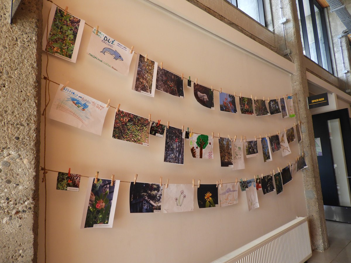 BPLosRios's tweet photo. En cuentos del bosque, junto a #CECREA Los Ríos de @culturaslosrios en #Valdiviacl, trabajamos ilustrando libros informativos de reconocidas(os) autoras(es). Se termina con una exploración y una exposición de #biodiversidad local #ecturas #naturaleza @IFLALAC #Agenda2030 #ODS https://t.co/pSuEiFUYoe