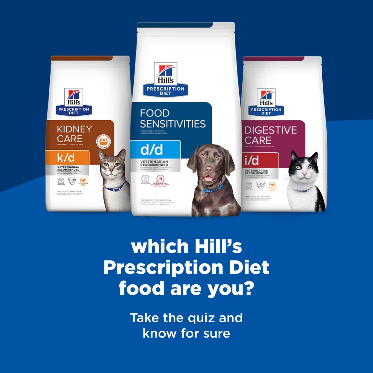 Contact Hills Pet Food atelieryuwa.ciao.jp