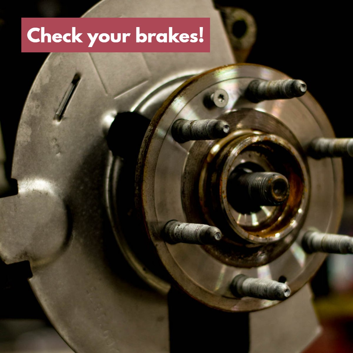 Brownie's Auto tweet media