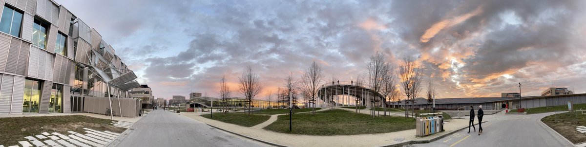 Tamara Milosevic tweet media