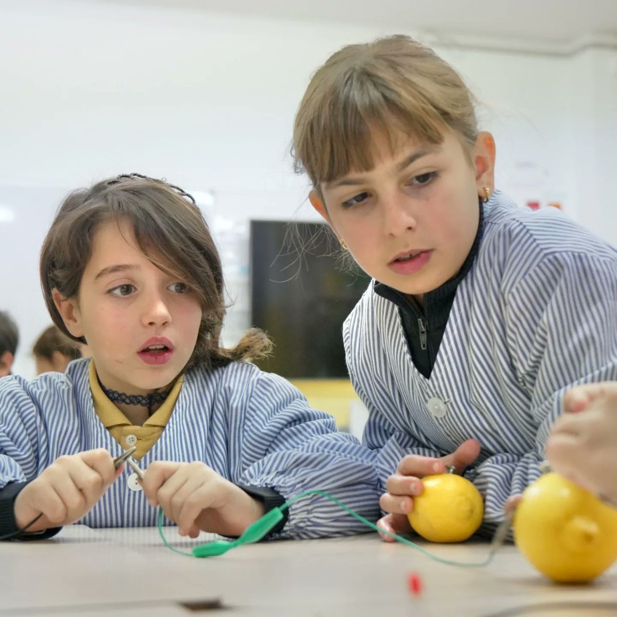 EscolaACESCO's tweet photo. Sabeu que amb una llimona, un cargol i una moneda, podem fer funcionar una bombeta? Doncs els nostres alumnes de 3r de primària i 1r d'ESO ho han pogut comprovar gràcies al concurs Apilo, al qual pertanyem des de fa més de 10 anys. https://t.co/aQc1fbys6s