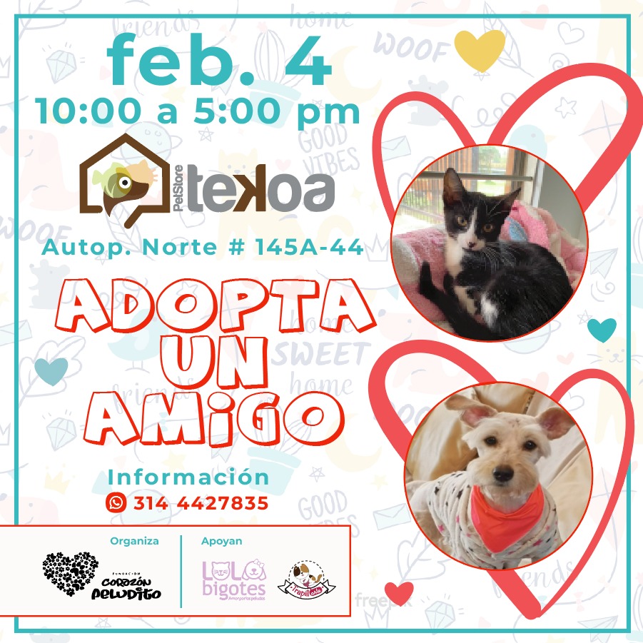 💕JORNADA DE ADOPCIÓN 💕
Si estás buscando llenar tu vida de amor peludito🐈🐕, no te puedes perder nuestra gran jornada este sábado 4 de febrero de 10am a 5pm en <a href="/tekoapetstore/">tekoapetstore</a> ubicado en la Autopista Norte # 145A - 44, Bogotá.
Visita corazonpeludito.org/adopta