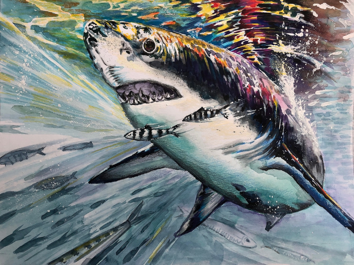 GuyHarveyOcean's tweet photo. There is less than one month left in the Art of Conservation Fish Art Contest!
The Guy Harvey Foundation Shark Award is now accepting ALL shark species! Please visit https://t.co/ANN9bSnXFG to learn more.
#GHF #GuyHarvey #FishArtContest https://t.co/3n77uJVGsl