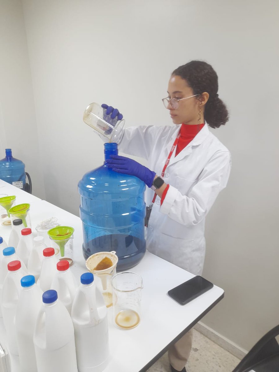 faodominicana's tweet photo. #SabíasQue
Junto a @intecrd trabajamos en un proyecto científico para desarrollar un biol de origen de sargazo para su potencial uso en la agricultura. Se espera  experimentar con este biol en una plantación de banano orgánico. @banelino @RCastanedaFAO @FAOAmericas https://t.co/OCIfmW23ID