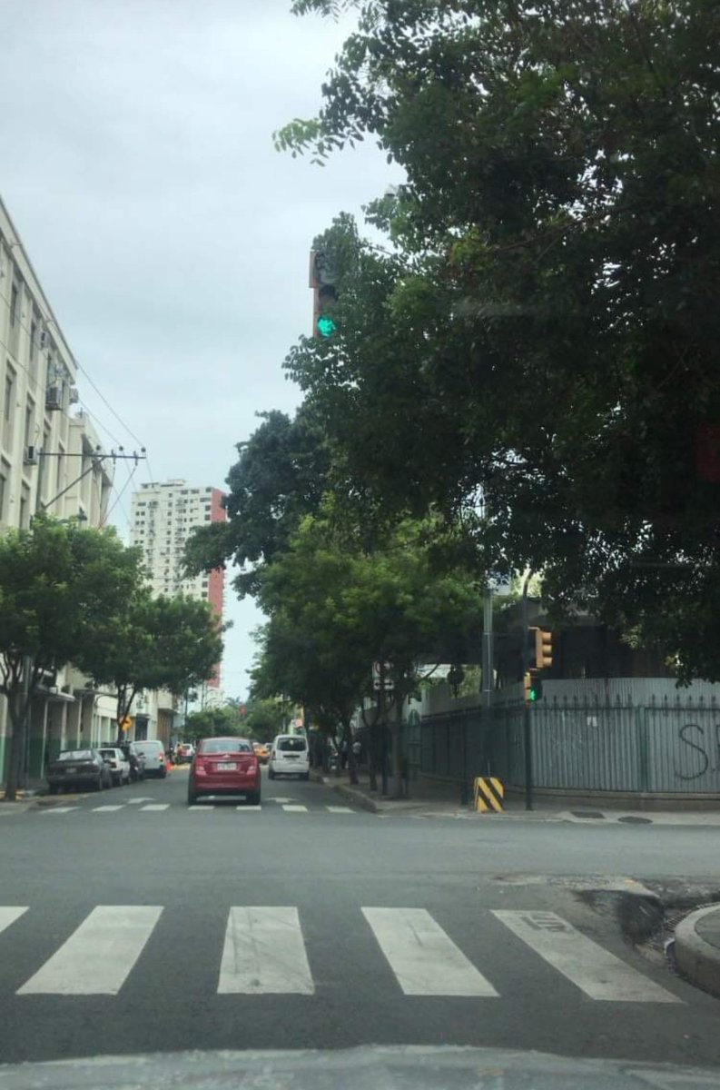 luisantonio_r's tweet image. DENUNCIA CIUDADANA. En la calle Juan Bautista Aguirre, en la esquina de la clínica Guayaquil, árboles tapan semaforización @24HorasGYE