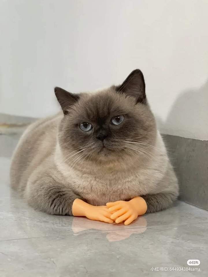 Anthropolegiste's tweet photo. Quand je note dans un dossier "patient accessible à l'humour" sachez que ça veut dire que j'ai fait des blagues complètement inadaptées devant un patient comme ça : https://t.co/miMkFduR4L