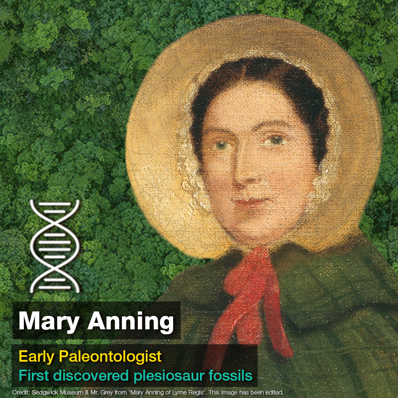 ComputerLunch's tweet photo. Mary Anning was a fossil collector who struggled against poverty and sexism to make important contributions to the field of paleontology. Her discoveries of plesiosaurs and other prehistoric creatures challenged conceptions about the history of life on Earth. #GreatScientists https://t.co/asydspe9oI