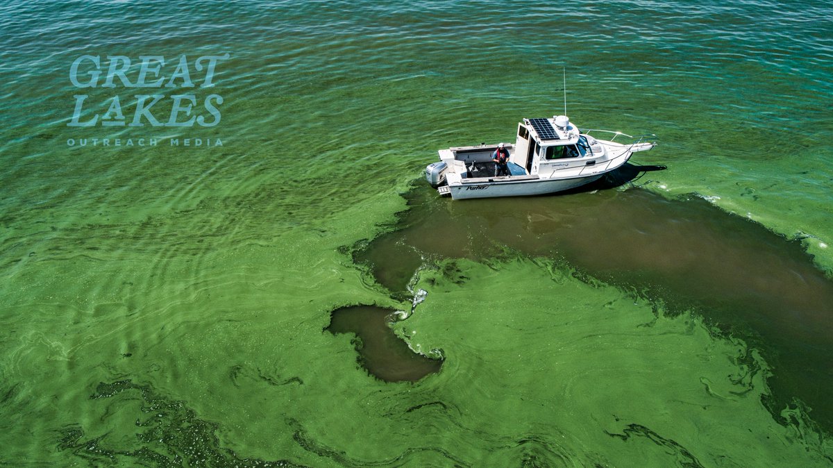 Eddie Verhamme tweet media