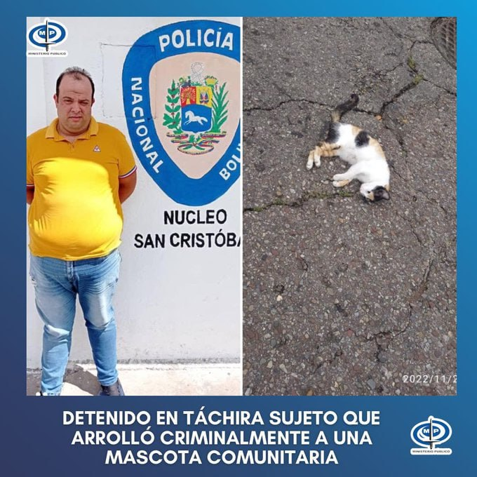 InforTvenezuela's tweet photo. El fiscal General Tarek William Saab Informó a través de su cuenta Twitter la captura de José Duarte quien arrolló a un gato con intención desde una moto a alta velocidad ,causandole la muerte de manera instantánea.
San Cristóbal,estado Táchira. https://t.co/al2ws73FUq