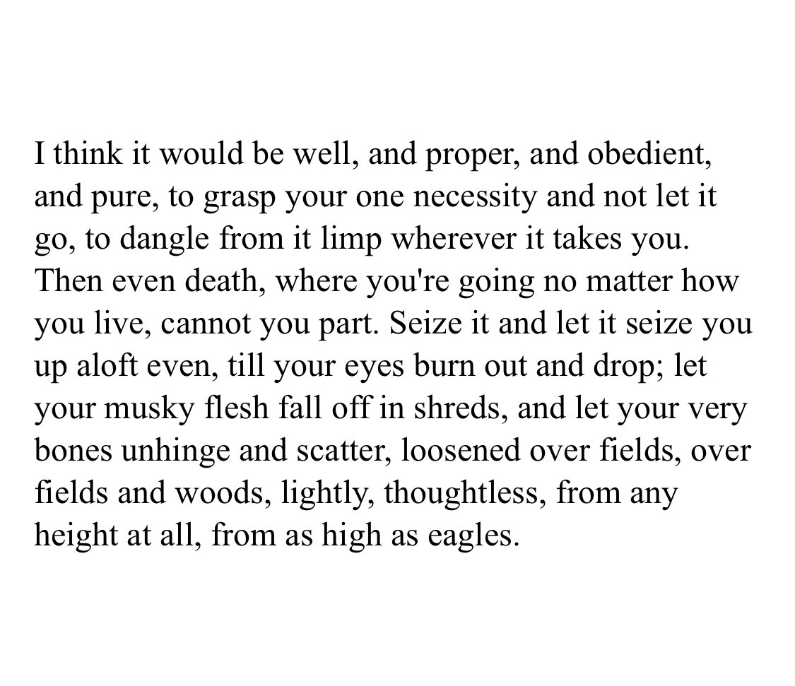 Annie Dillard has zero chill and I remain in awe