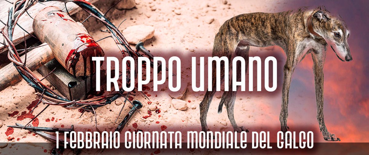 SOS Levrieri tweet media